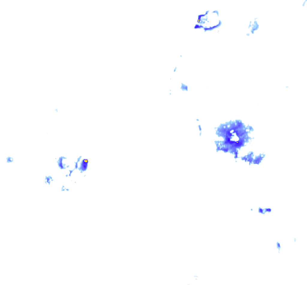 Image Layer