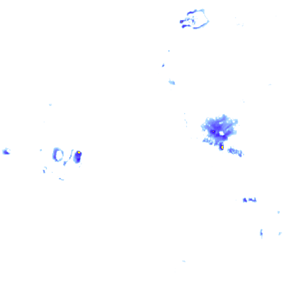 Image Layer