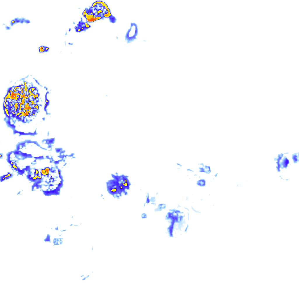 rainLayer