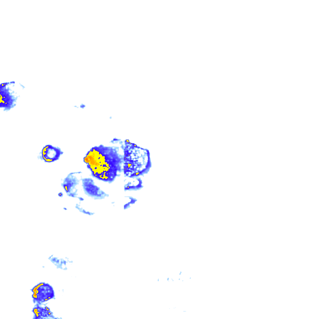 Image Layer