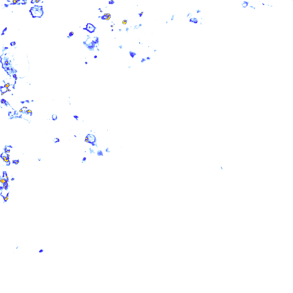 rainLayer
