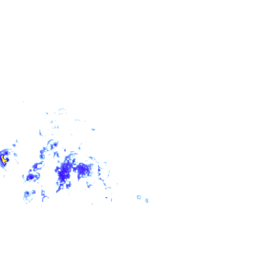 rainLayer
