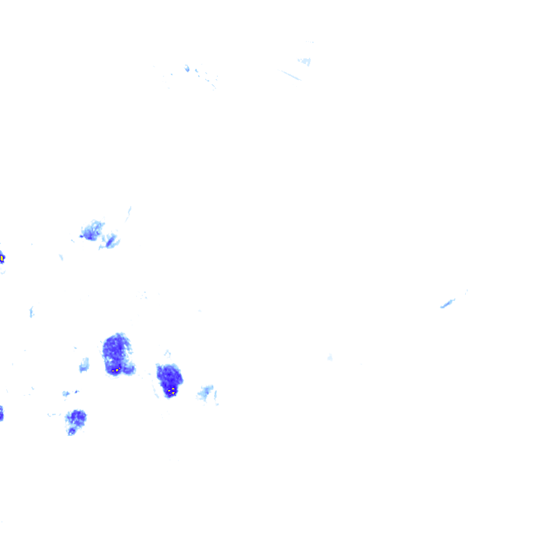 rainLayer