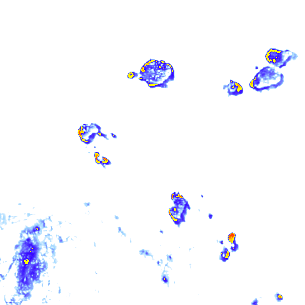 Image Layer