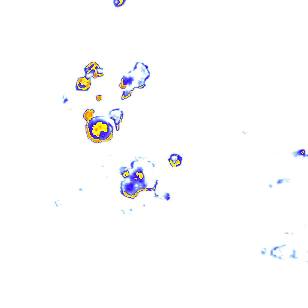 rainLayer