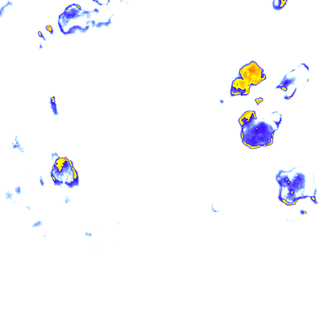 rainLayer