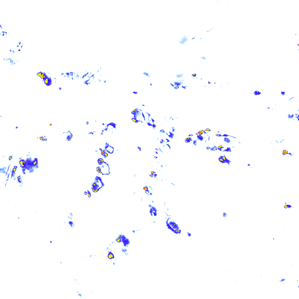 rainLayer