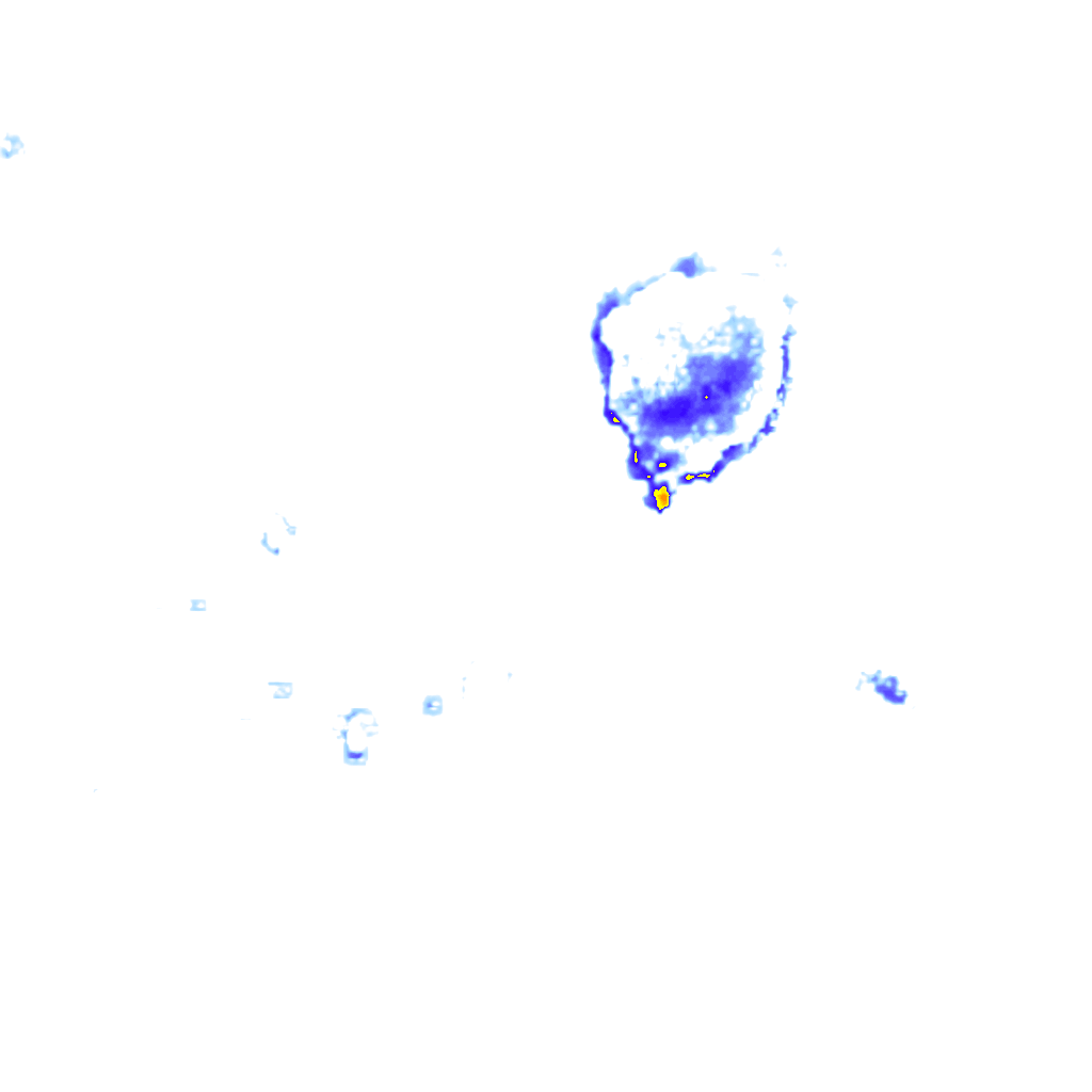 Image Layer