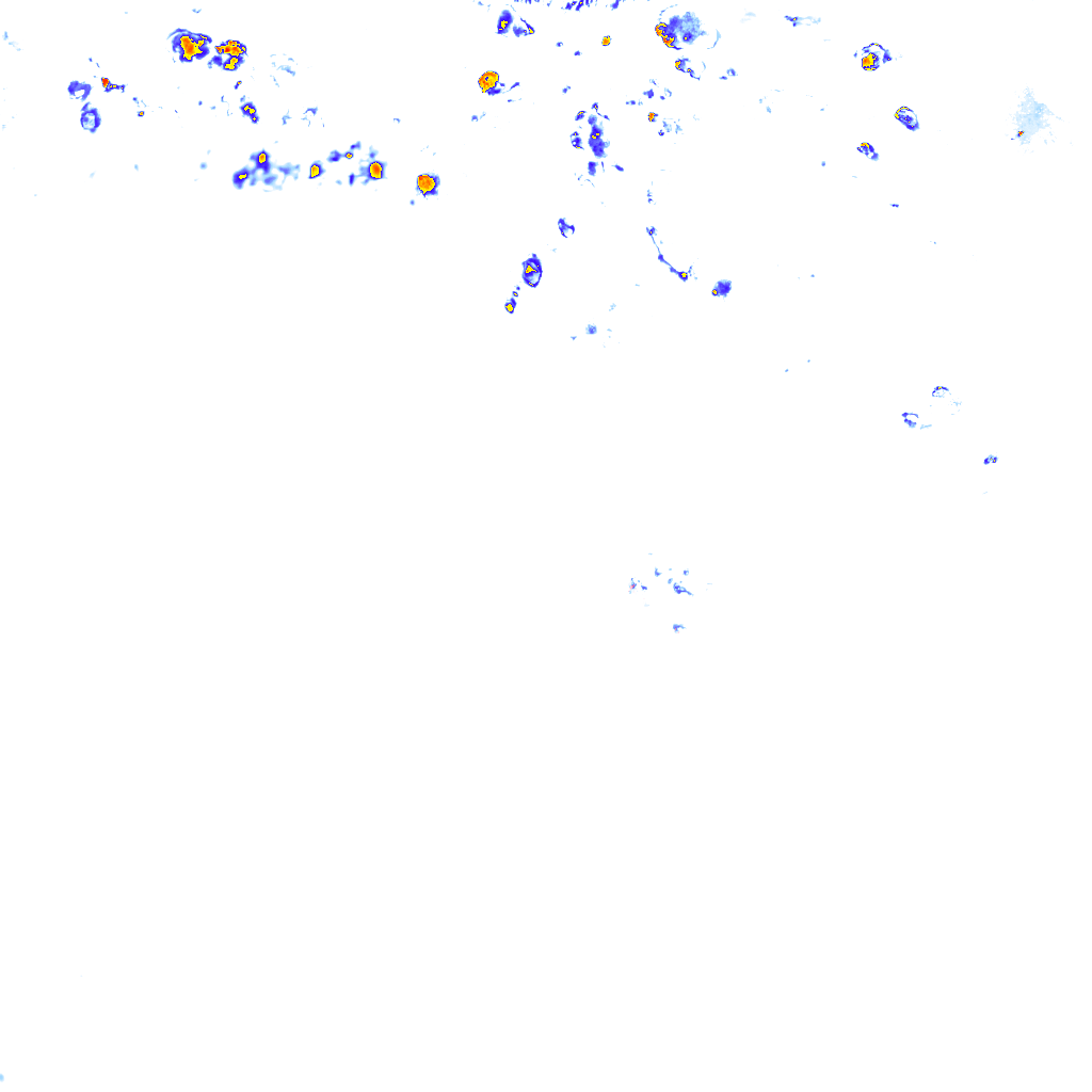 rainLayer