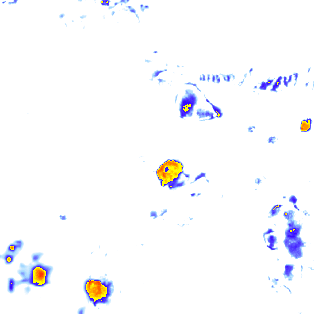 Image Layer