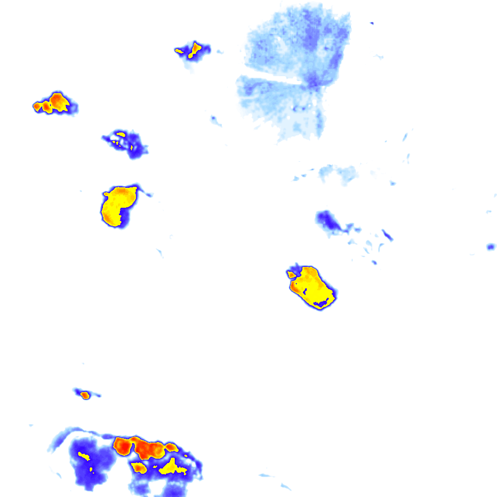 rainLayer
