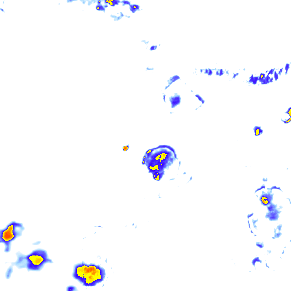 Image Layer