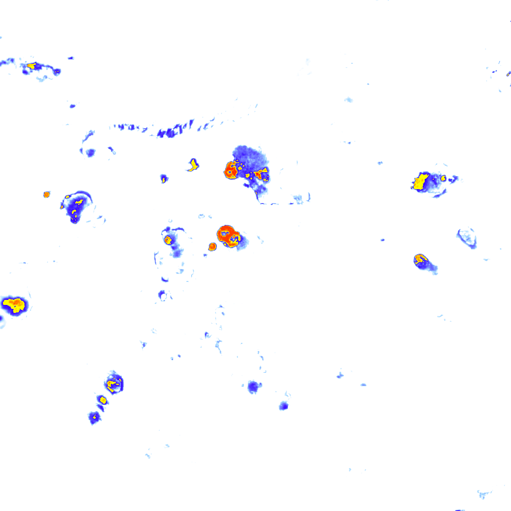 Image Layer