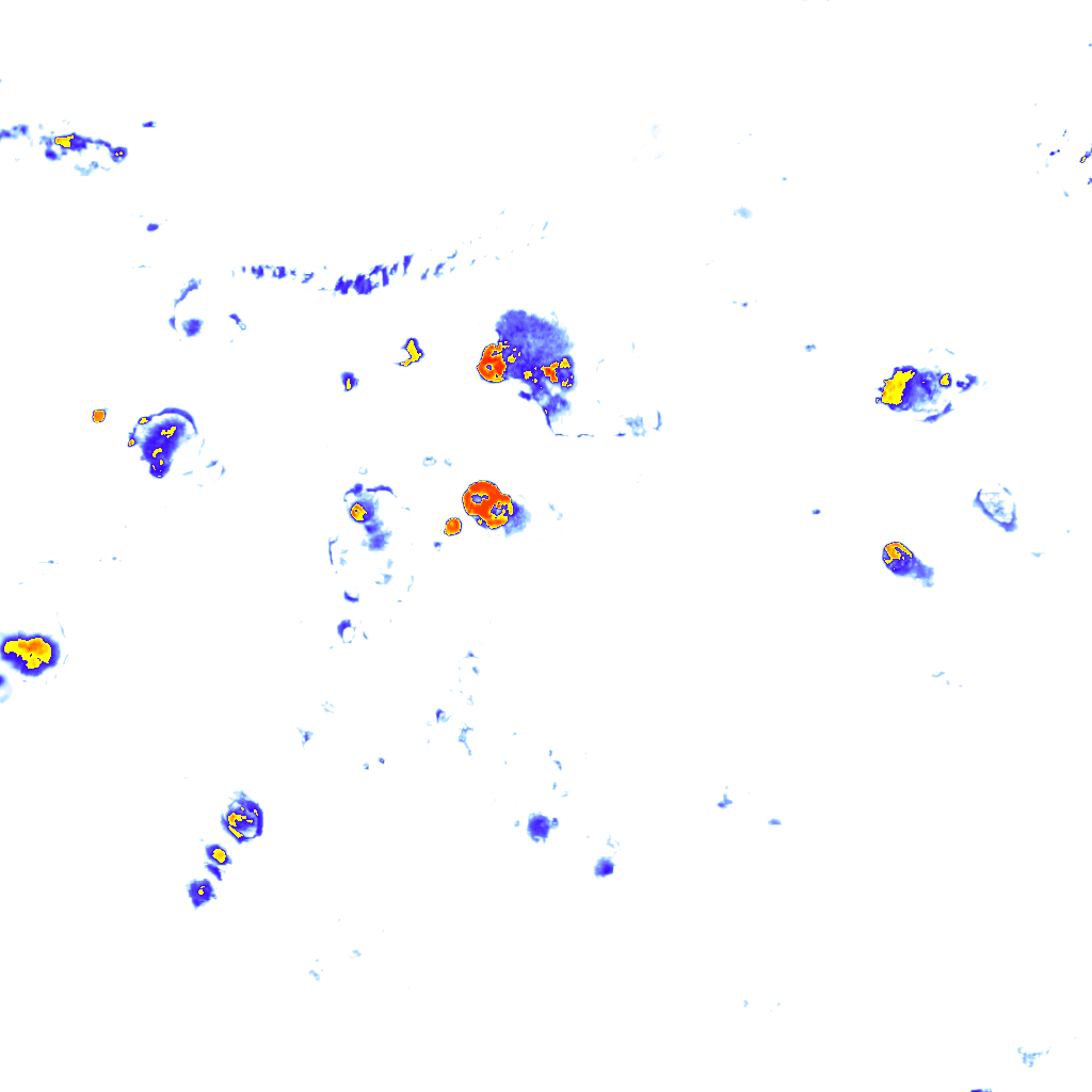 rainLayer