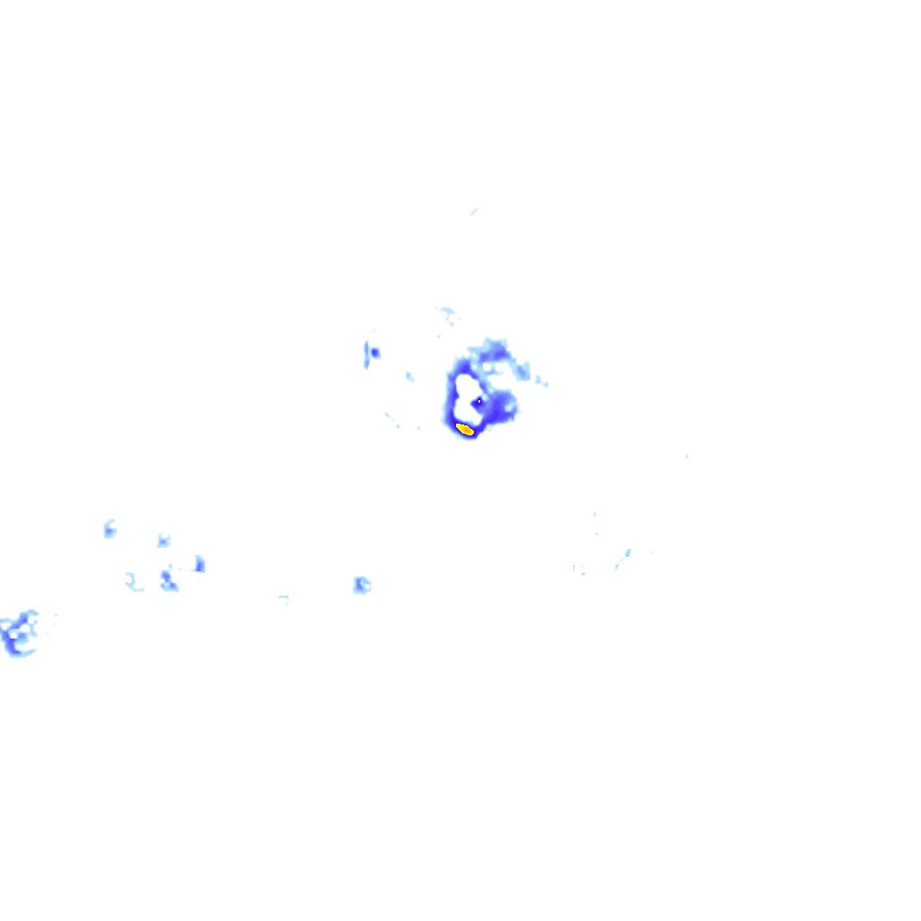 Image Layer