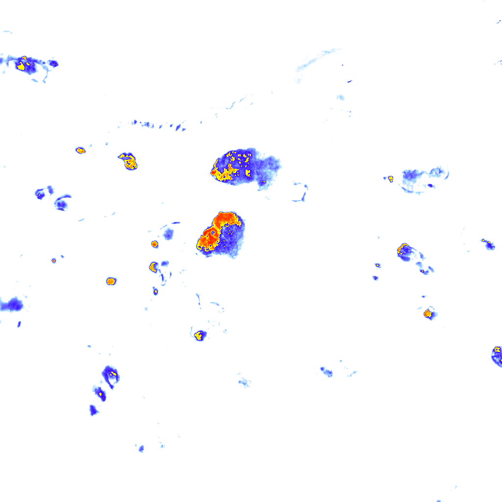 rainLayer