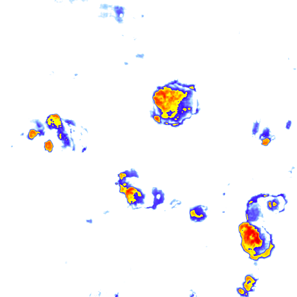 Image Layer