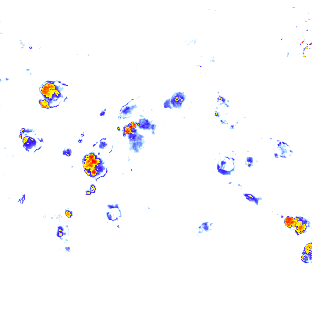 Image Layer
