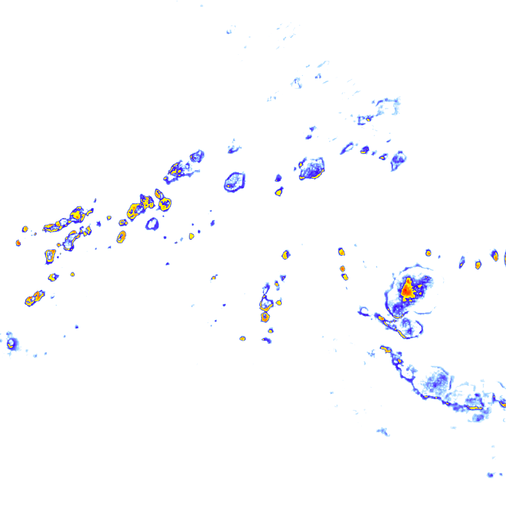 Image Layer