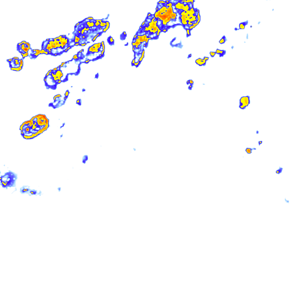 Image Layer