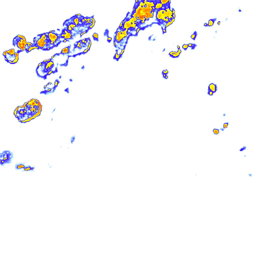 rainLayer