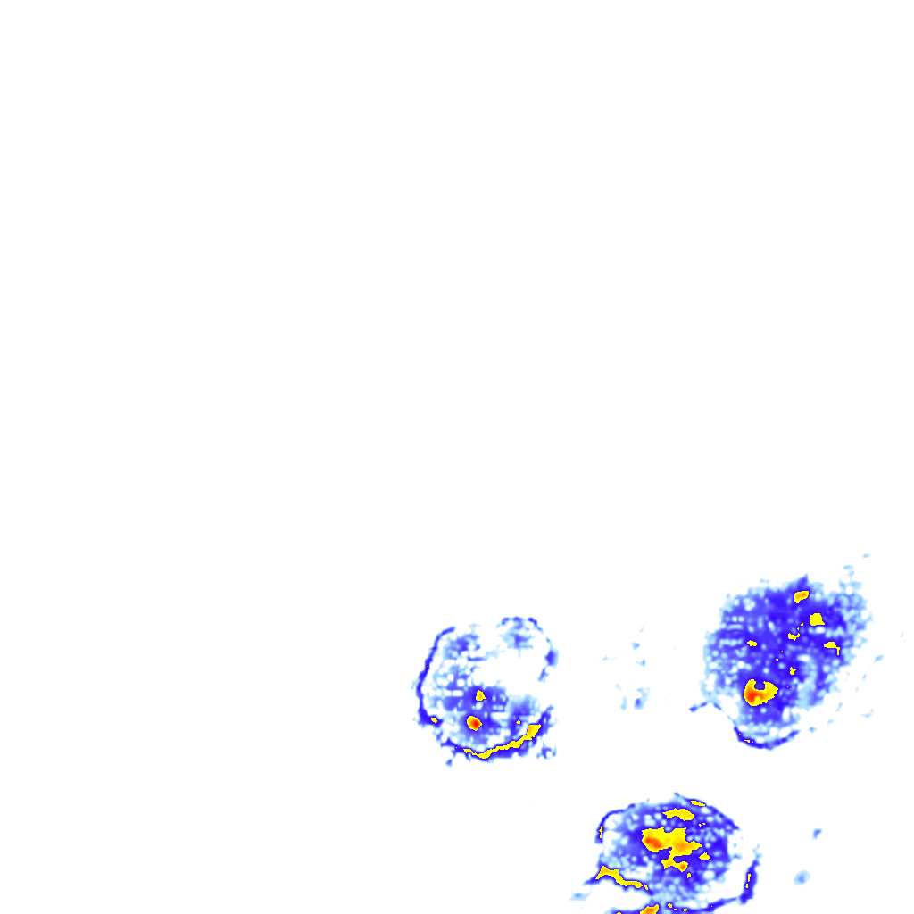 Image Layer