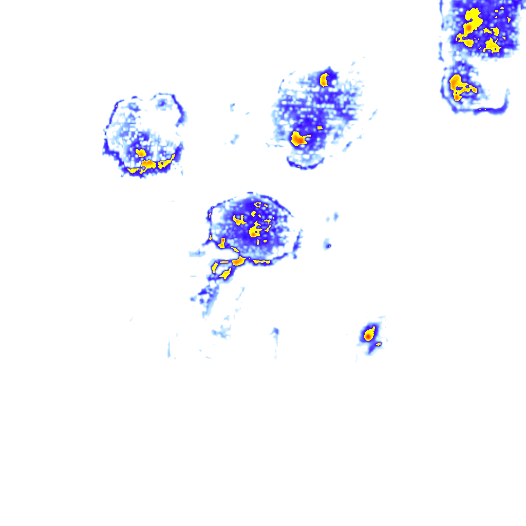 Image Layer