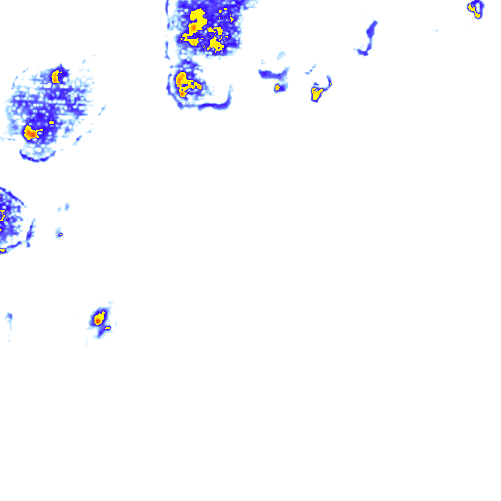 Image Layer