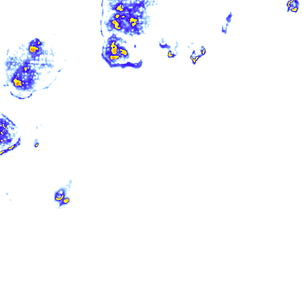 rainLayer