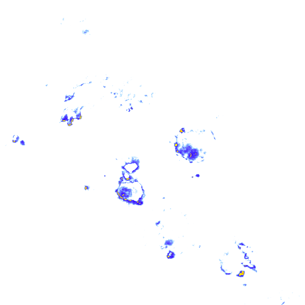 rainLayer