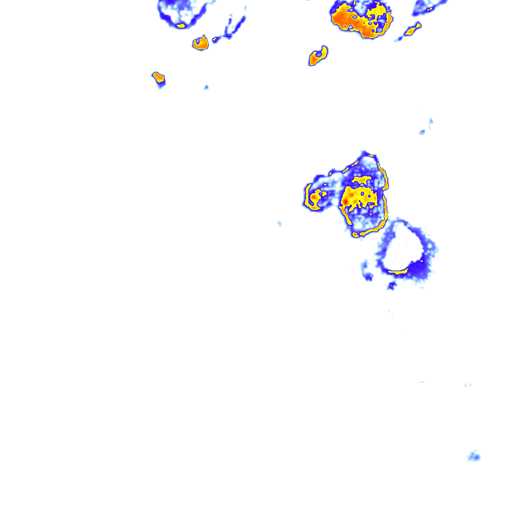 rainLayer