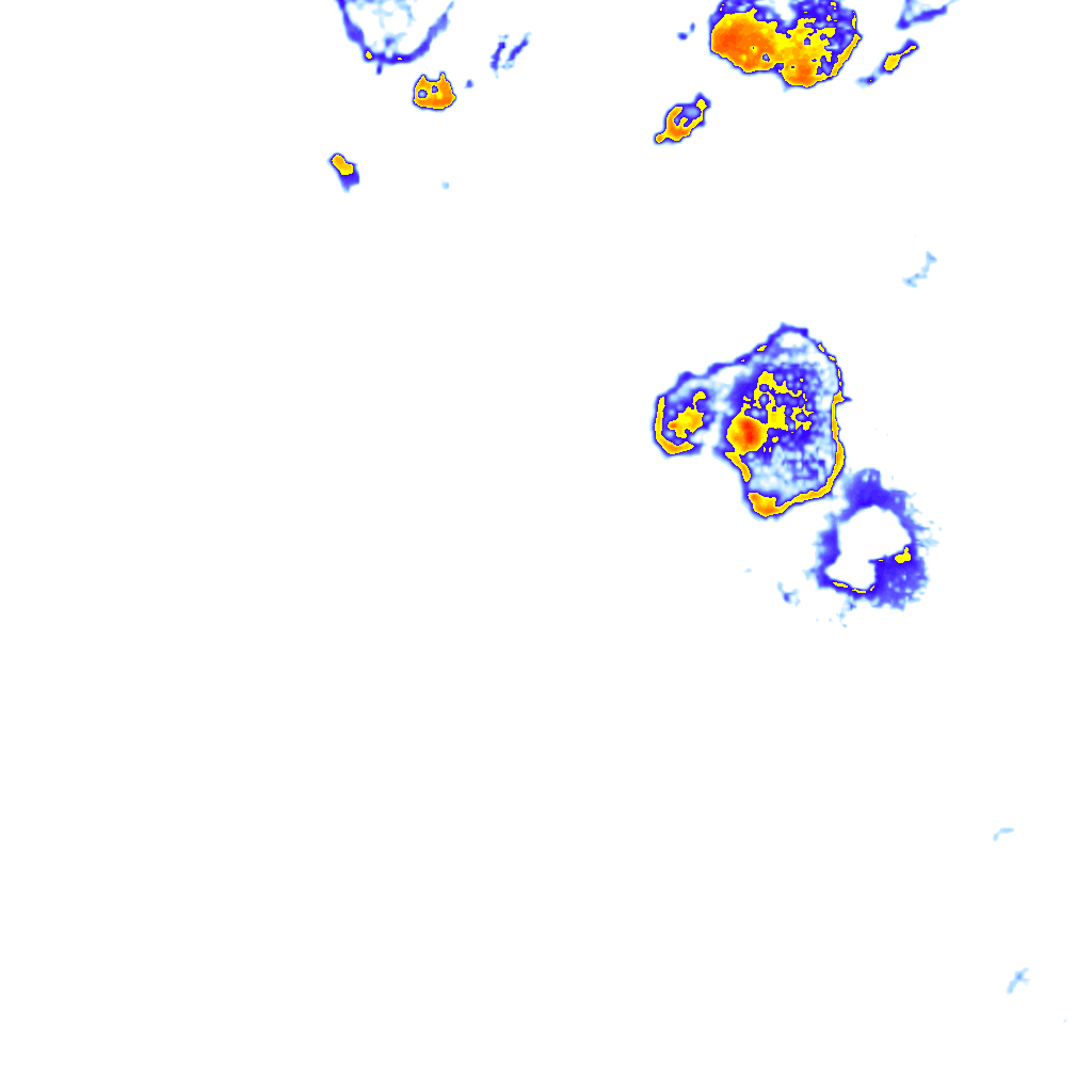 rainLayer