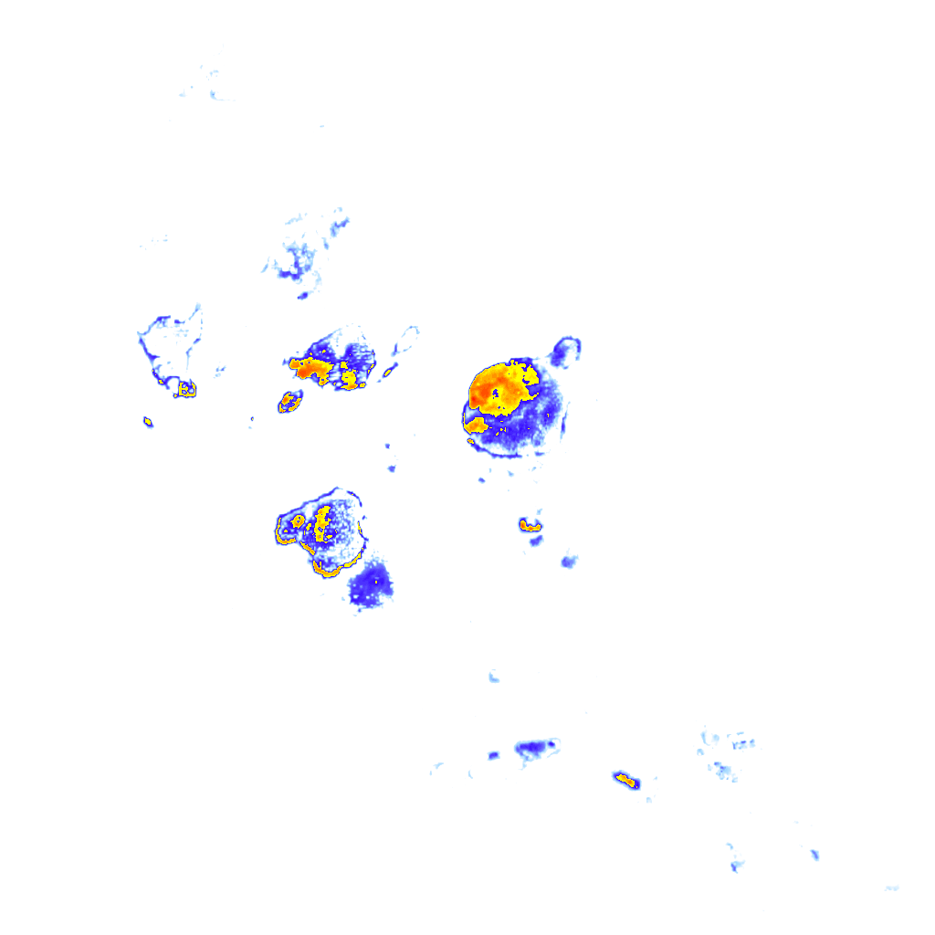 rainLayer