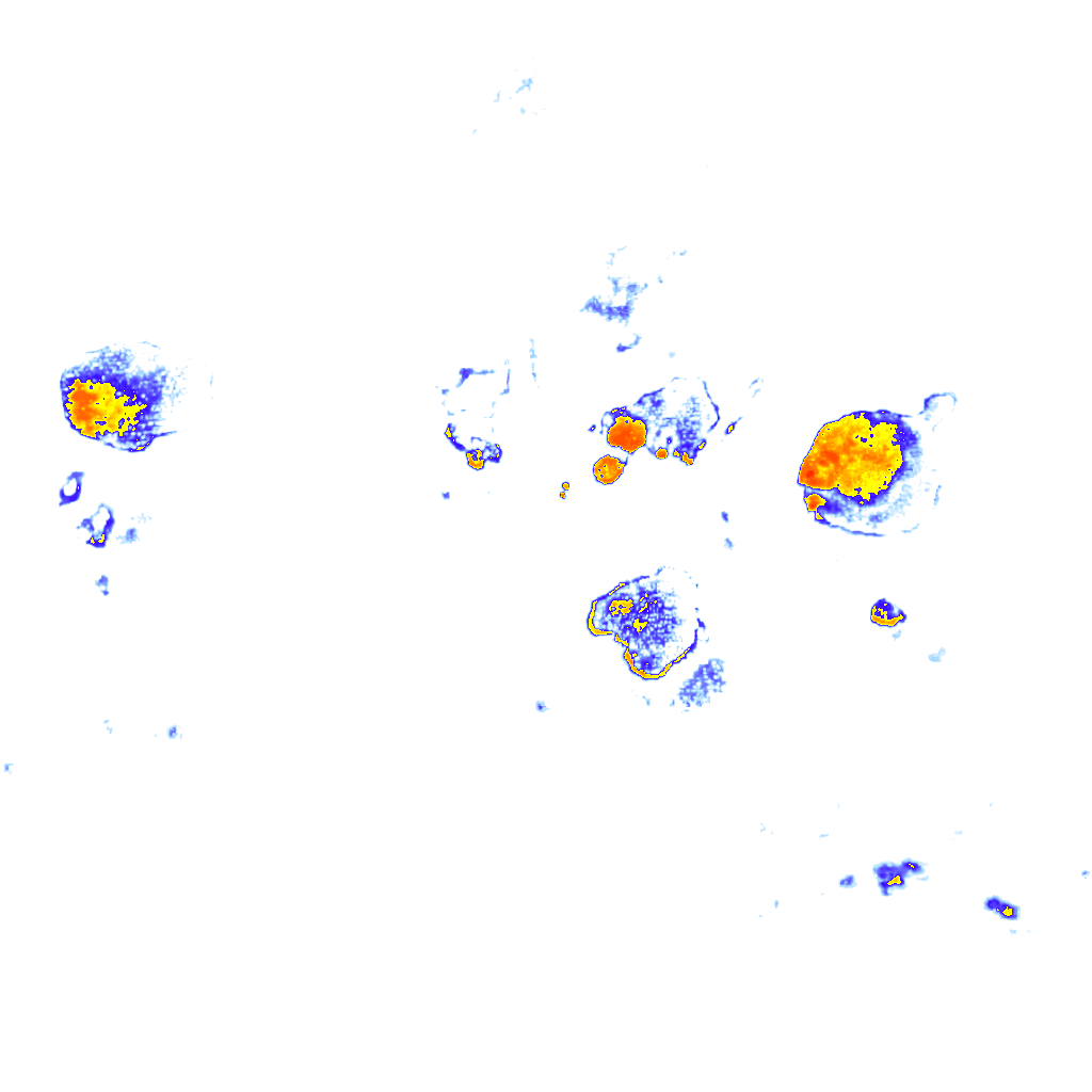 rainLayer