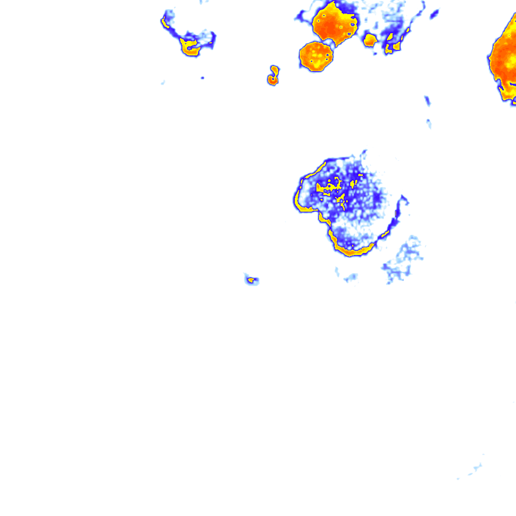 rainLayer