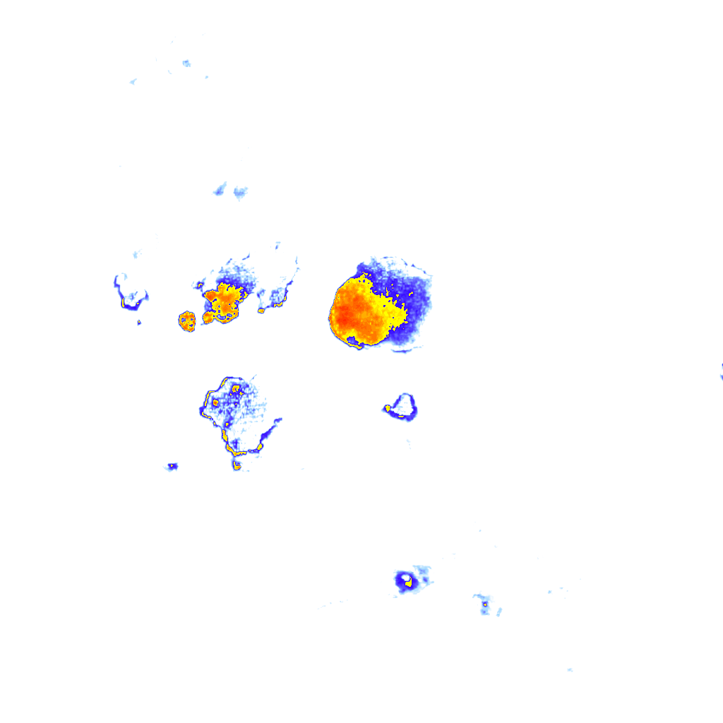 Image Layer
