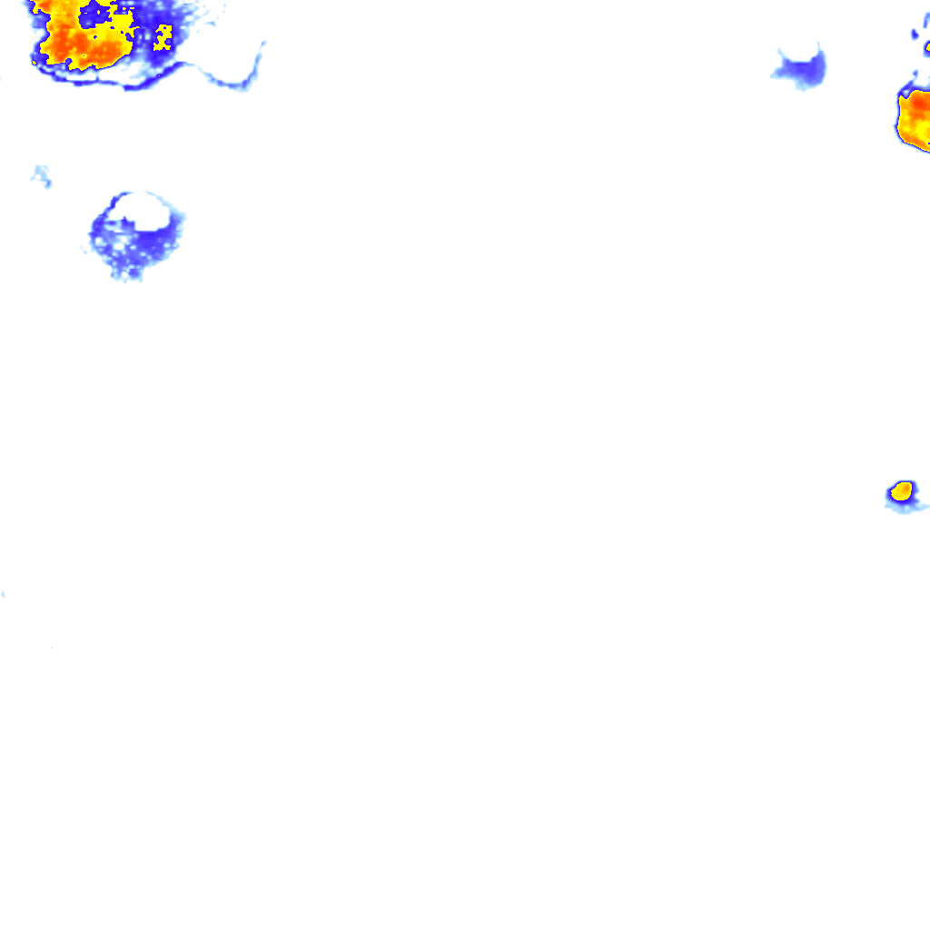 rainLayer