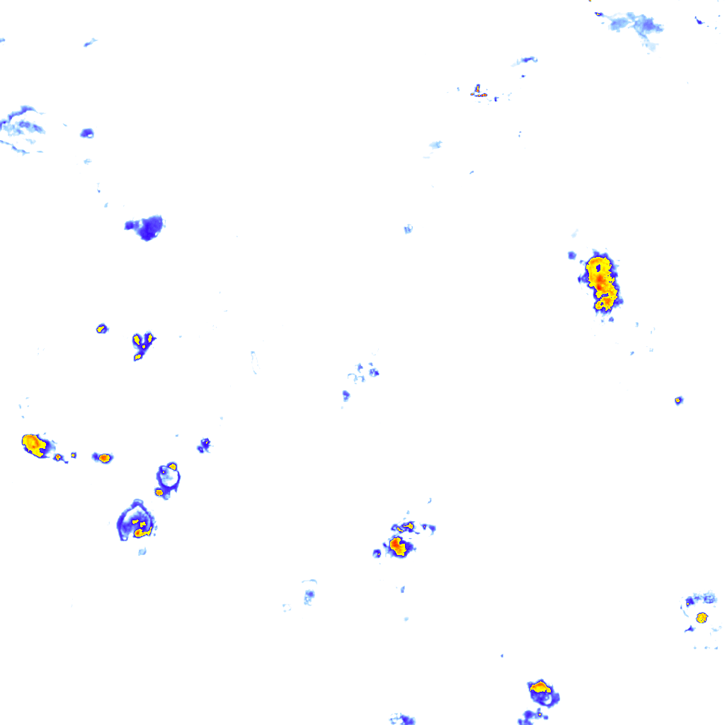 Image Layer