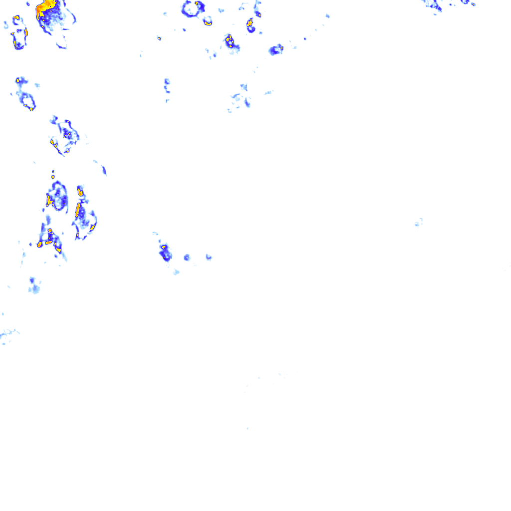 rainLayer