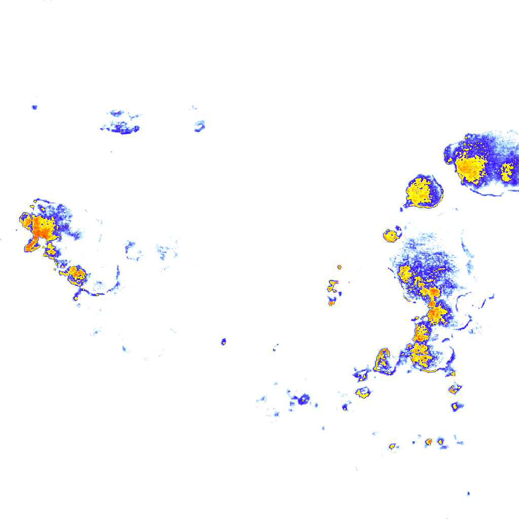 Image Layer