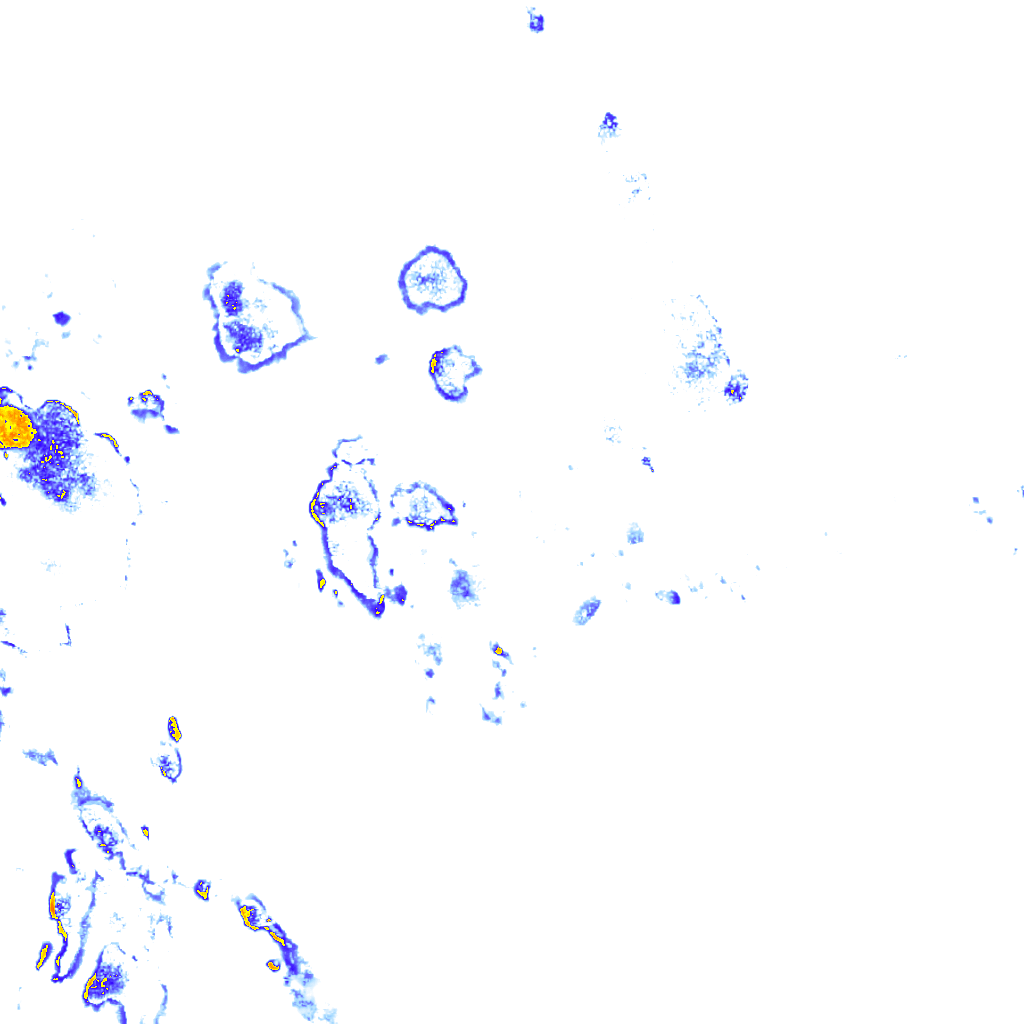 rainLayer