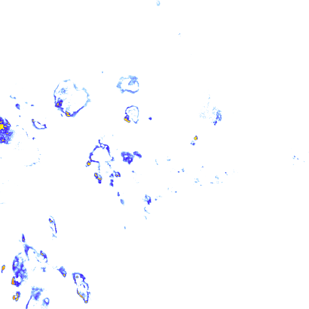 rainLayer