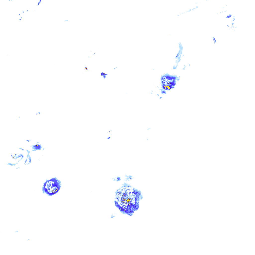 rainLayer