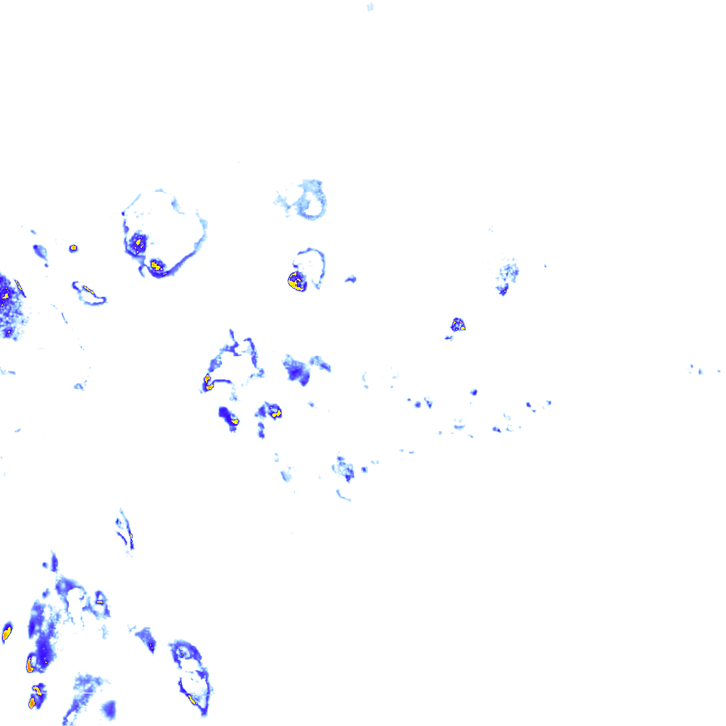 rainLayer