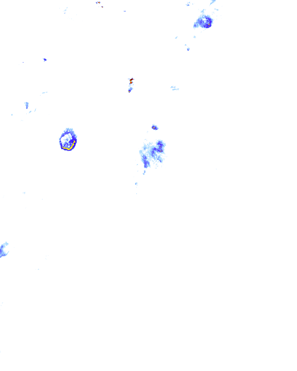 rainLayer