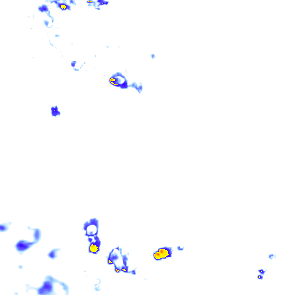 rainLayer