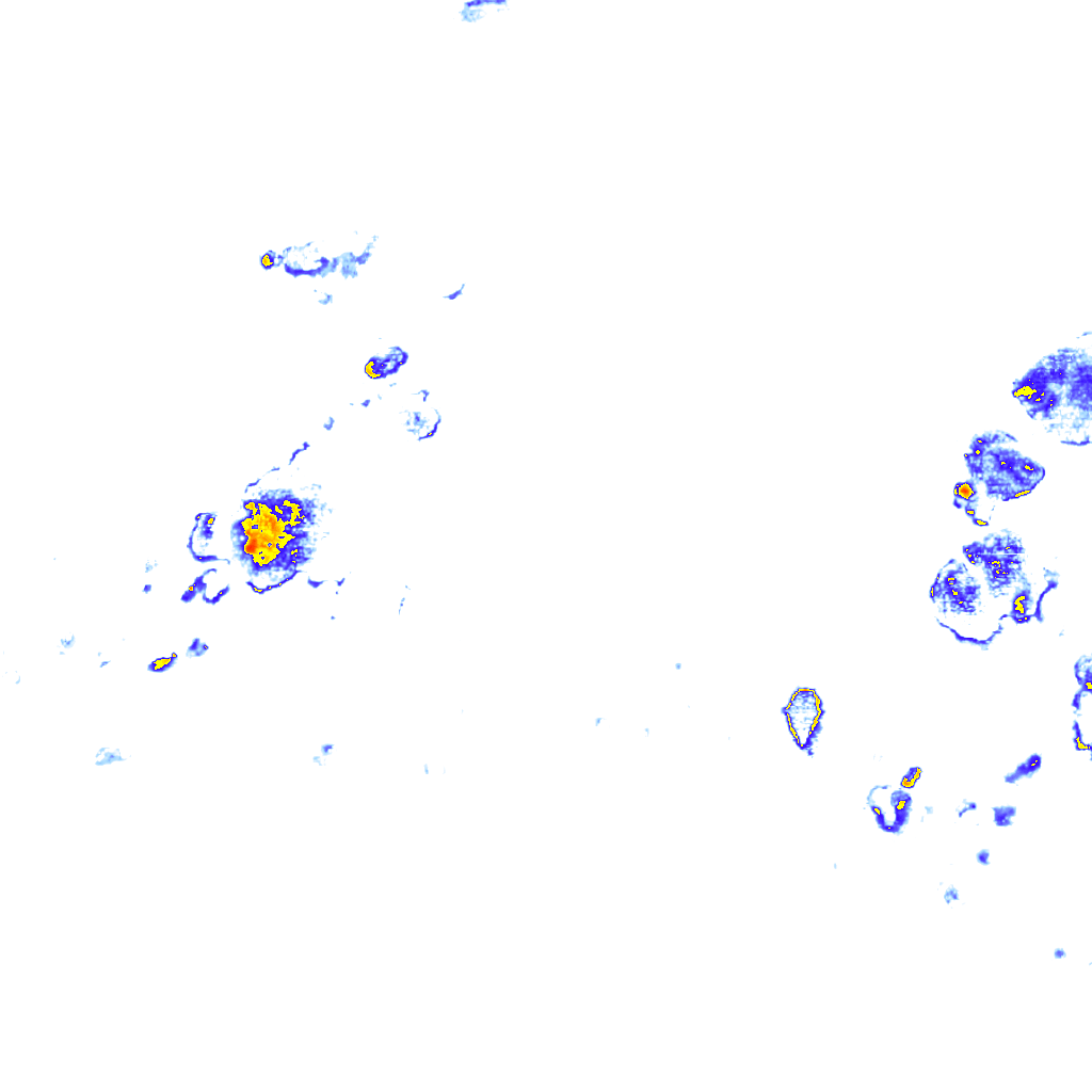 rainLayer