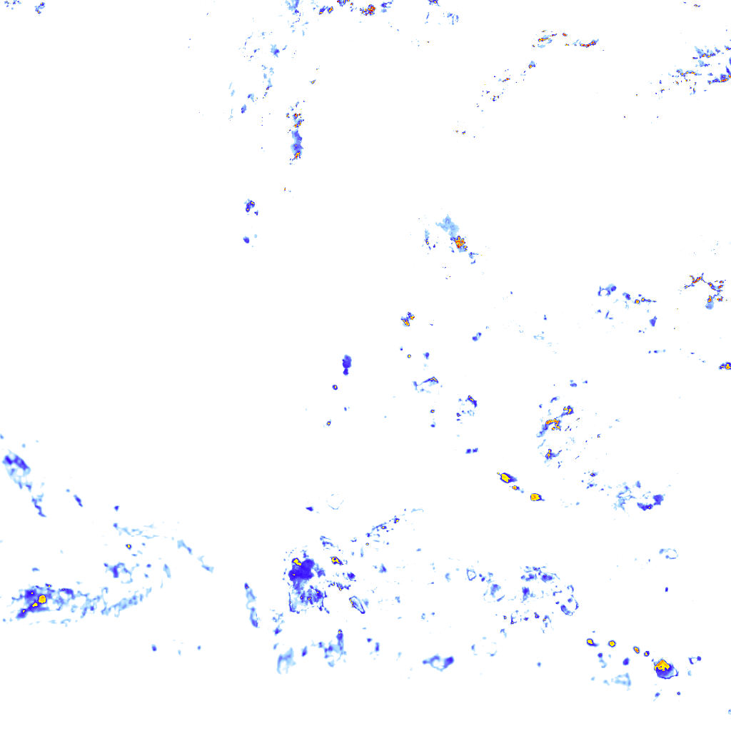 rainLayer