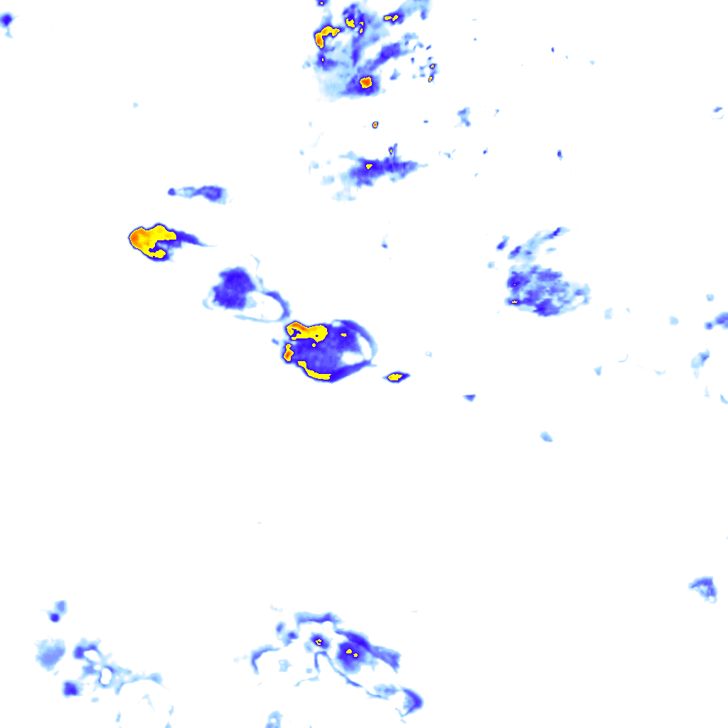 rainLayer