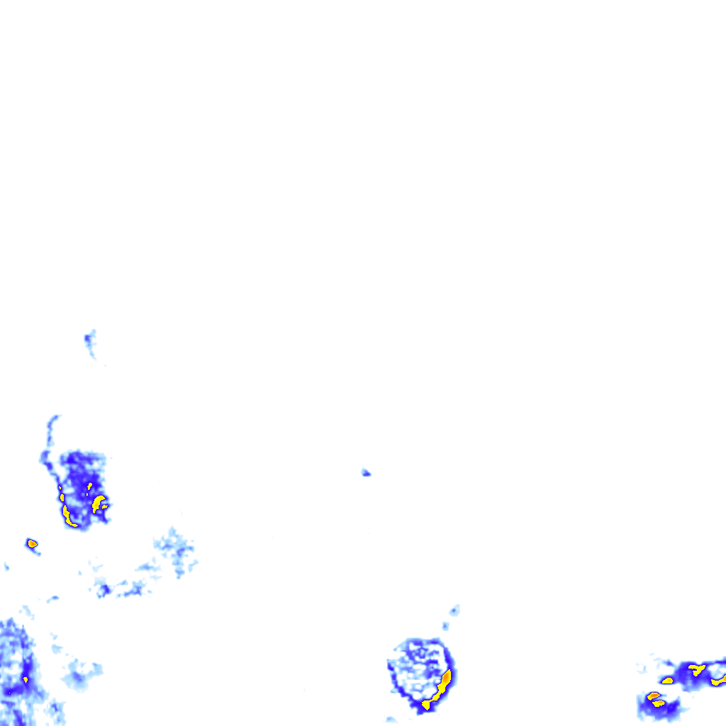 rainLayer